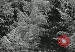 Image of Typical Alaskan houses in Fairbanks, Alaska Alaska USA, 1934, second 57 stock footage video 65675064915