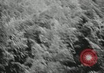 Image of Typical Alaskan houses in Fairbanks, Alaska Alaska USA, 1934, second 58 stock footage video 65675064915