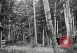 Image of summer resort Fairbanks Alaska USA, 1934, second 58 stock footage video 65675064917