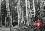 Image of summer resort Fairbanks Alaska USA, 1934, second 60 stock footage video 65675064917