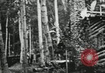 Image of summer resort Fairbanks Alaska USA, 1934, second 61 stock footage video 65675064917