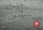 Image of dog Fido Alaska USA, 1934, second 5 stock footage video 65675064927