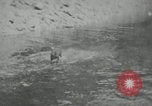 Image of dog Fido Alaska USA, 1934, second 9 stock footage video 65675064927