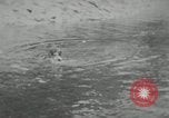 Image of dog Fido Alaska USA, 1934, second 12 stock footage video 65675064927
