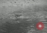 Image of dog Fido Alaska USA, 1934, second 13 stock footage video 65675064927