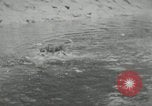 Image of dog Fido Alaska USA, 1934, second 14 stock footage video 65675064927