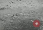 Image of dog Fido Alaska USA, 1934, second 16 stock footage video 65675064927