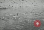 Image of dog Fido Alaska USA, 1934, second 17 stock footage video 65675064927