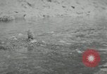 Image of dog Fido Alaska USA, 1934, second 18 stock footage video 65675064927