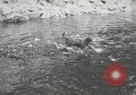 Image of dog Fido Alaska USA, 1934, second 23 stock footage video 65675064927