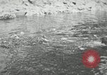 Image of dog Fido Alaska USA, 1934, second 25 stock footage video 65675064927