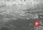 Image of dog Fido Alaska USA, 1934, second 26 stock footage video 65675064927