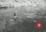 Image of dog Fido Alaska USA, 1934, second 30 stock footage video 65675064927