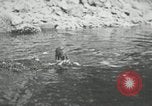 Image of dog Fido Alaska USA, 1934, second 31 stock footage video 65675064927