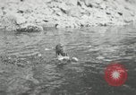 Image of dog Fido Alaska USA, 1934, second 32 stock footage video 65675064927