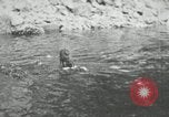 Image of dog Fido Alaska USA, 1934, second 34 stock footage video 65675064927