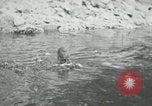 Image of dog Fido Alaska USA, 1934, second 35 stock footage video 65675064927