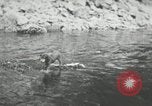 Image of dog Fido Alaska USA, 1934, second 39 stock footage video 65675064927