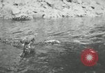 Image of dog Fido Alaska USA, 1934, second 40 stock footage video 65675064927