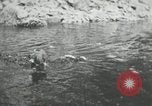 Image of dog Fido Alaska USA, 1934, second 41 stock footage video 65675064927