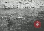 Image of dog Fido Alaska USA, 1934, second 43 stock footage video 65675064927
