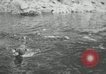 Image of dog Fido Alaska USA, 1934, second 45 stock footage video 65675064927