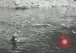 Image of dog Fido Alaska USA, 1934, second 46 stock footage video 65675064927