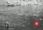 Image of dog Fido Alaska USA, 1934, second 47 stock footage video 65675064927
