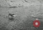 Image of dog Fido Alaska USA, 1934, second 54 stock footage video 65675064927