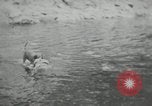 Image of dog Fido Alaska USA, 1934, second 55 stock footage video 65675064927