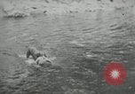 Image of dog Fido Alaska USA, 1934, second 56 stock footage video 65675064927