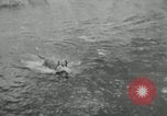 Image of dog Fido Alaska USA, 1934, second 57 stock footage video 65675064927