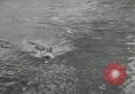 Image of dog Fido Alaska USA, 1934, second 58 stock footage video 65675064927