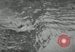 Image of dog Fido Alaska USA, 1934, second 60 stock footage video 65675064927