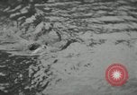 Image of dog Fido Alaska USA, 1934, second 61 stock footage video 65675064927