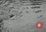 Image of dog Fido Alaska USA, 1934, second 62 stock footage video 65675064927