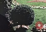 Image of Potsdam Conference Potsdam Germany, 1945, second 59 stock footage video 65675064930