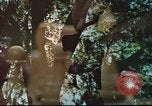 Standbild cryptologic Officer Pensacola Florida USA, 1974, aus Sekunde 1 historischem Filmmaterial Videoclip 65675064944