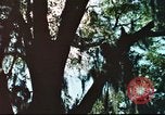 Standbild cryptologic Officer Pensacola Florida USA, 1974, aus Sekunde 3 historischem Filmmaterial Videoclip 65675064944