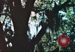Standbild cryptologic Officer Pensacola Florida USA, 1974, aus Sekunde 4 historischem Filmmaterial Videoclip 65675064944