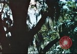 Standbild cryptologic Officer Pensacola Florida USA, 1974, aus Sekunde 5 historischem Filmmaterial Videoclip 65675064944