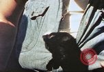 Standbild Patrol Torpedo Boot Besatzung Pacific Theater, 1943, aus Sekunde 54 historischem Filmmaterial Videoclip 65675064952