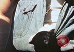 Standbild Patrol Torpedo Boot Besatzung Pacific Theater, 1943, aus Sekunde 55 historischem Filmmaterial Videoclip 65675064952