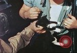 Standbild Patrol Torpedo Boot Besatzung Pacific Theater, 1943, aus Sekunde 62 historischem Filmmaterial Videoclip 65675064952