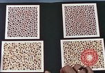Image of young recruits San Diego California USA, 1940, second 33 stock footage video 65675064968