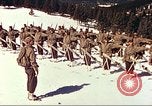 Image of US Army mountain troops ski Colorado United States USA, 1943, second 3 stock footage video 65675064972