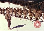 Image of US Army mountain troops ski Colorado United States USA, 1943, second 5 stock footage video 65675064972