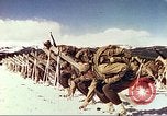 Image of US Army mountain troops ski Colorado United States USA, 1943, second 22 stock footage video 65675064972