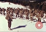 Image of US Army mountain troops ski Colorado United States USA, 1943, second 25 stock footage video 65675064972