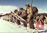 Image of US Army mountain troops ski Colorado United States USA, 1943, second 30 stock footage video 65675064972